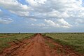 Dirt road towards the south and Ndara Borehole in the Tsavo East National Park, Kenya.jpg