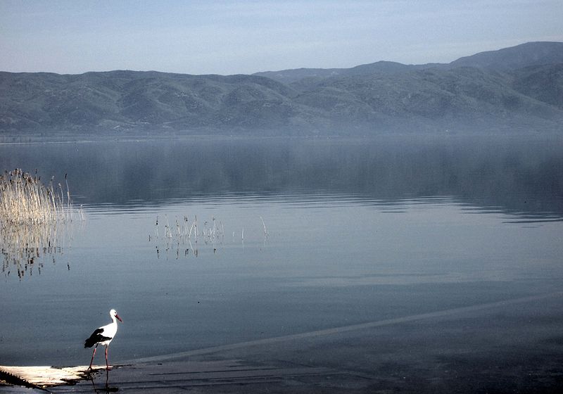 File:Dojran Lake 256.jpg