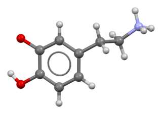 <span class="mw-page-title-main">Dopamine</span> Organic chemical that functions both as a hormone and a neurotransmitter