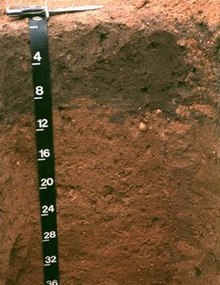 Downer Soil Horizon.jpg