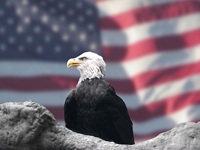 Eagle and American Flag by Bubbels.jpg