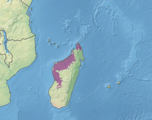 Madagaskar'ın kuzeyindeki ve batısındaki kuru ormanın konumunu gösteren harita