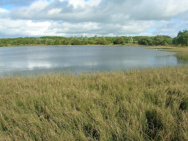 File:Eglintonloch2.JPG