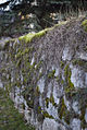 Former monastery fortifications