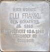 Elli Frankl geb. Schachtel, Seerobenstr. 18, Wiesbaden-Westend.jpg