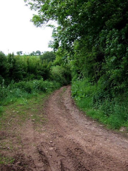 File:Elscombe Lane, Stile Down - geograph.org.uk - 177232.jpg