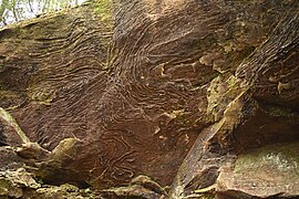 Eroded rock at Natural Bridge Park (Alabama).jpg