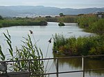 Estany de la Murtra (Baix Llobregat)