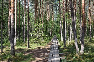 Climate Of Estonia