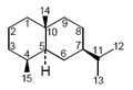 The eudesmane skeleton upon which dictyophorines are based