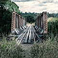 Faded Glory, Imbil Rail Bridge - Flickr - PaulBalfe.jpg