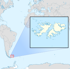 Location of the Falkland Islands Falkland Islands location detail.svg