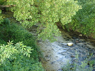 Melfa river in Italy