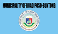 Flag of Buadiposo-Buntong, Lanao del Sur.png