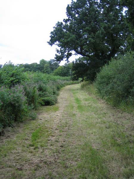 File:Footpath near Doddershall House 4 - geograph.org.uk - 928828.jpg