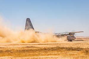 יחידת ההנחתה הקדמית: היסטוריה, מיון והכשרה, ראו גם