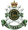 Cap Badge of the Grey & Simcoe Foresters
