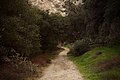 Gabrielino Trail, Altadena, Pasadena area, California 08.jpg