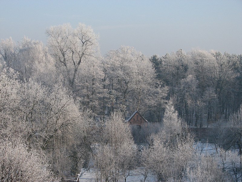 File:Garden of the Franciscan monastery in Katowice Panewniki 011.JPG