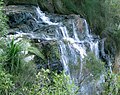 The Goomoolahra Falls are located on the Springbrook Plateau of the Gold Coast Hinterland, Gold Coast Queensland Australia.