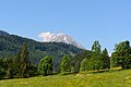 * Nomination The Grimming mountain viewed from Wörschachwald, Styria --Uoaei1 03:53, 23 June 2015 (UTC) * Promotion My  Support comes with the requirement to remove the blurry spot top right. --Cccefalon 04:22, 23 June 2015 (UTC)  Done Spot cleaned. --Uoaei1 11:12, 23 June 2015 (UTC)