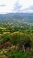 Guayameo observado desde el cerro de La Parota de Guayameo.jpg