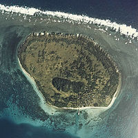 Hatoma jima 1977 cok-77-5 c1 2.jpg