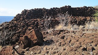 Mure af Halulu Heiau.