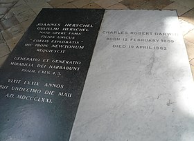 Tombs of John Herschel, vänster svart marmor, och Charles Darwin.  vit marmor i Westminster Abbey