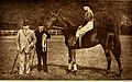 Horse-breeder's handbook - together with a history of the rise and progress of the British stud... (1898) (14757131656).jpg