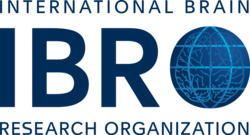 IBRO logo main 2022 update.png