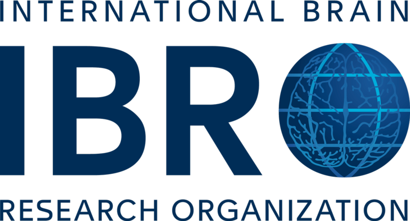 File:IBRO logo main 2022 update.png