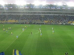 Stade Ilie Oană