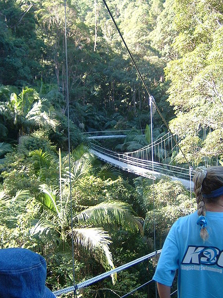 Bridges that lead into the camp in Dungay, north-eastern New South Wales (April 2004)