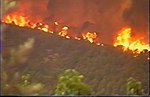 Miniatura para Incendio forestal de Moratalla de 1994