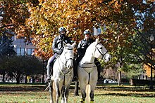 Officers of Indianapolis Metropolitan Police Department Mounted Patrol