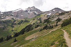 Ives Peak and Cispus River basin.jpg