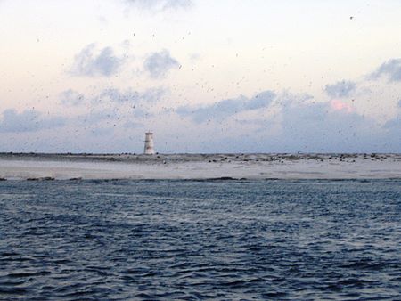 Tập_tin:Jarvis_Island_October_2003.jpg