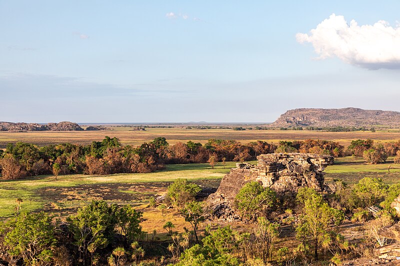 File:Kakadu (AU), Kakadu National Park, Nadap Lookout -- 2019 -- 4190.jpg