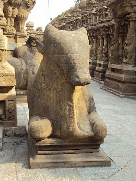 File:Kanchi Kailasanathar Temple nandhi.jpeg