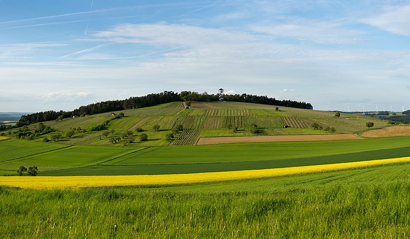 File:Kapellenberg (Külsheim).jpg