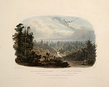 Forest scene on the Tobihanna, Alleghany Mountains (circa 1832): aquatint by Karl Bodmer from the book "Maximilian, Prince of Wied's Travels in the Interior of North America, during the years 1832-1834" Karl Bodmer Travels in America (4).jpg