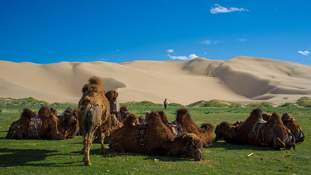 Пустиња Гоби у Монголији.