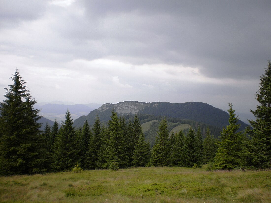 Kozol (Malá Fatra)