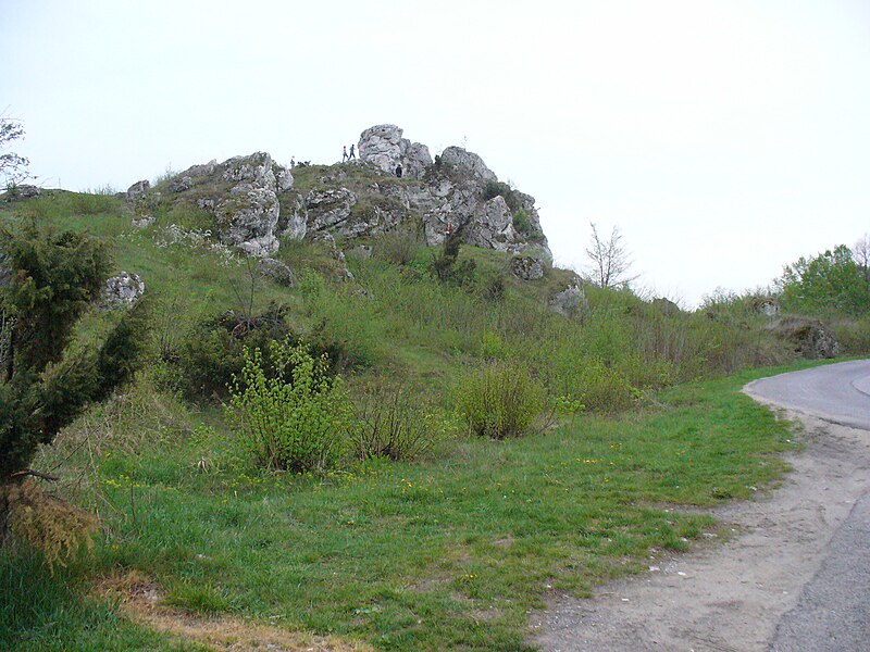 File:Kromołowieckie ostańce jurajskie na trasie z Niegowonic do Ogrodzieńca - panoramio.jpg