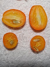 Coupes longitudinales et transversales des fruits de Kumquat.