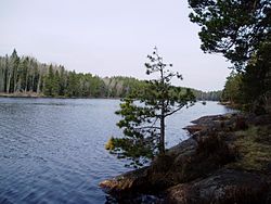 Blick auf den See