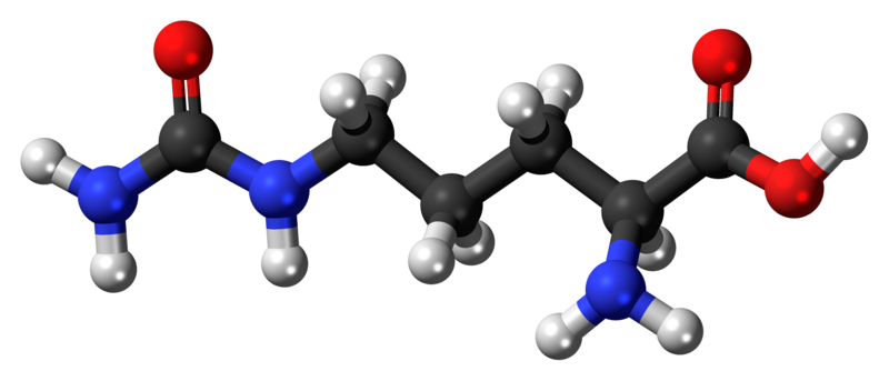 File:L-Citrulline-3D-balls.png