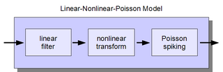 <span class="mw-page-title-main">Linear-nonlinear-Poisson cascade model</span>