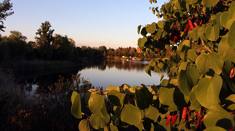 File:Las Lagunas de las Madres - Concurso Wiki Loves Earth 2016.jpg